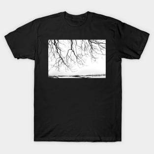Snow blanket landscape T-Shirt